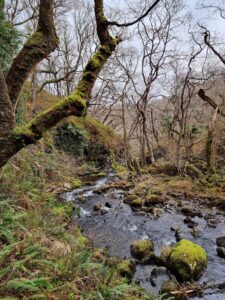 Childrens walks in Wales 