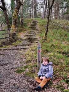 Ceunant waterfall walk