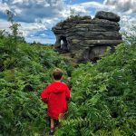 Brimham Rocks