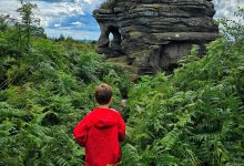 Brimham Rocks