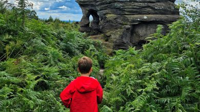 Brimham Rocks