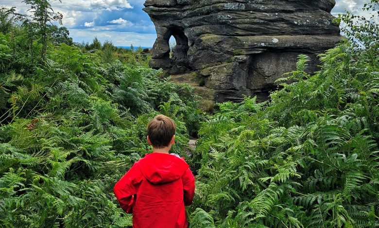 Brimham Rocks